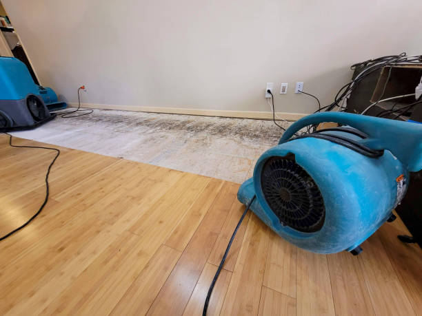 Professional Flood Damage Cleanup technician working in Waldo, AR